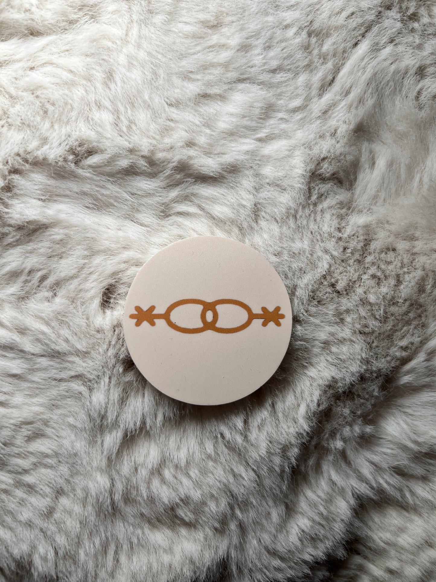 Outlaw Oasis Ranch Brand Sticker